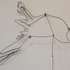 20120330134447-cooper_s_hawk_completes_the_circuit_detail1