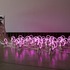 20120330221845-1-david-adey__biennial_flock_installation-1