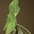 20120331070953-03__33112