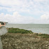 20120331170838-shootingtheoceanlargesizenoborder