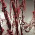 20120331204613-okore_web