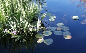 20120401003213-pict0426