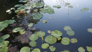 20120401003531-pict0417