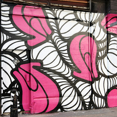 Graffiti Fetish,INSA