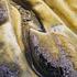 20120401181156-in_the_groove