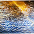 20120401182712-water___color_8