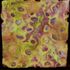 20120401232851-yvonne_prisble_shards_dtl