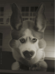 20120402095937-i-g-nmdesat1-tum