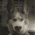 20120402095937-i-g-nmdesat1-tum