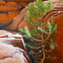 20120402154757-clingingtohome1_rockhold