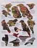 20120403011031-patrick_coyle__park_and_backyard_birds__2012__11x8__sticker_book_pages_on_sticker_book_background_pages