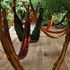 20120403011542-hanging_by_a_thread_in_pavilion_small
