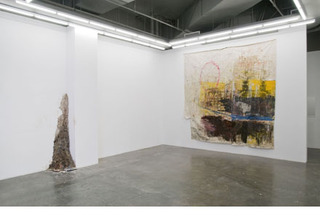 Installation View,