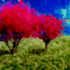 20120403161211-a_lover_s_shelter