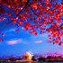 20120403161340-whatif_lg