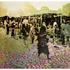 20120403194654-flower_market___monoprint