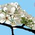 20120404073047-p1015616s_copy