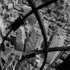 20120404155725-city_arabesque_1938_
