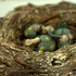 20120404181832-dsc_0098