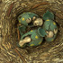 20120404181856-dsc_0099