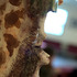 20120404182557-dsc_0188