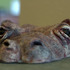 20120404182930-dsc_0089