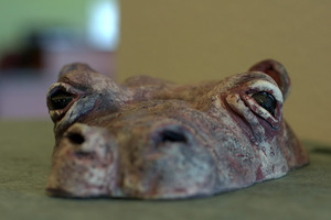 20120404182930-dsc_0089