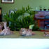 20120404183016-dsc_0173