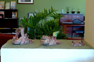 20120404183016-dsc_0173