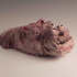 20120404183258-dscn3319