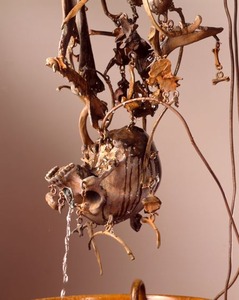 20120404201947-shelton_mandogbones_low