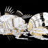 20120405001222-05__4412