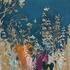 20120405014112-butterfly