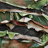 20120405223824-businessandpleasure20