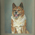 20120406044848-chuck_s_job