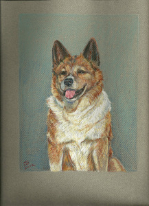 20120406044848-chuck_s_job