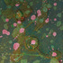 20120406192623-xc560-df95077_edited-1