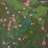 20120406192759-xc560-df95078_edited-1