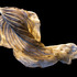 20120406204408-2-_hosta_2-vernatodd