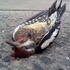 20120406232724-murder