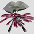 20120407013244-imagen-rosemarie-trockel