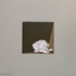 20120407040908-shell_3_by_k_henderson