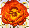 20120407204609-el_tigre-oc_62x62inches
