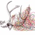20120407210858-mm_caught_detail