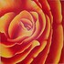 20120408091111-arte1
