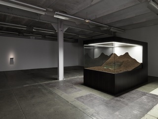 untitled (pair of axolotls),Mathieu Mercier
