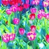 20120408194944-dscn6623
