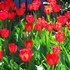 20120408195345-dscn6622