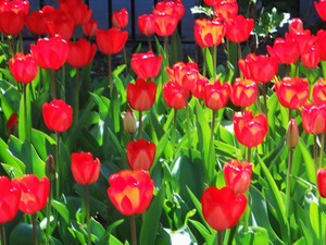 20120408195345-dscn6622
