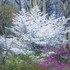 20120408195903-dscn6521